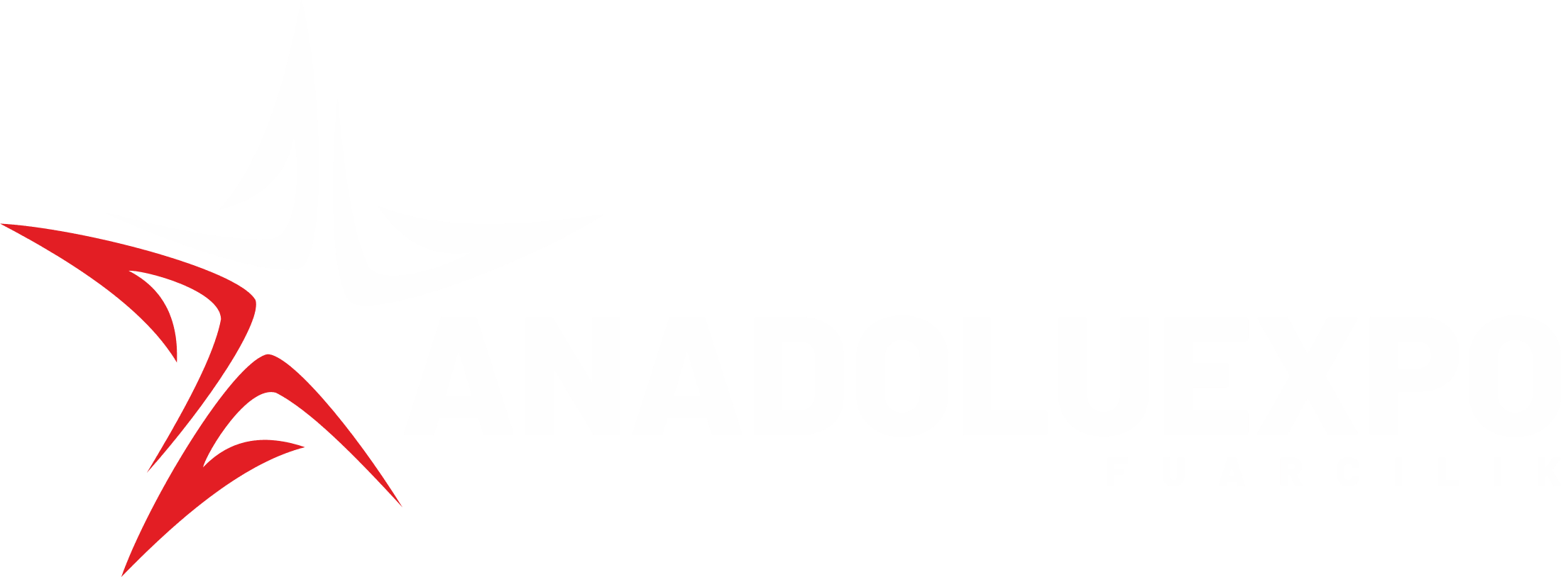 Anadolu Ekspo Fuar Ticaret Limited Şirketi